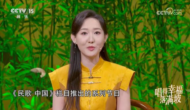 电视姐，文化现象的深度解读与探讨