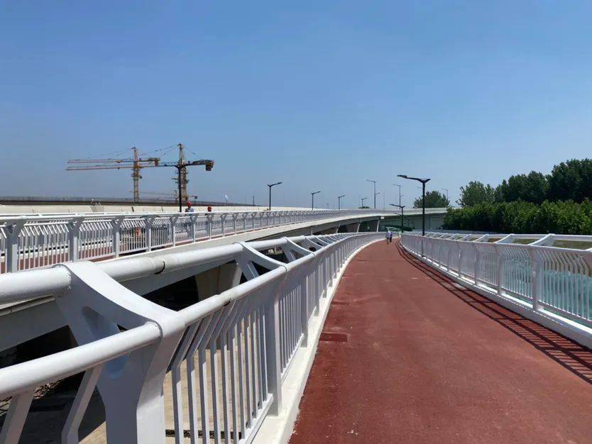 八卦洲新动态，探寻自然美景，寻觅内心平和的轻松之旅