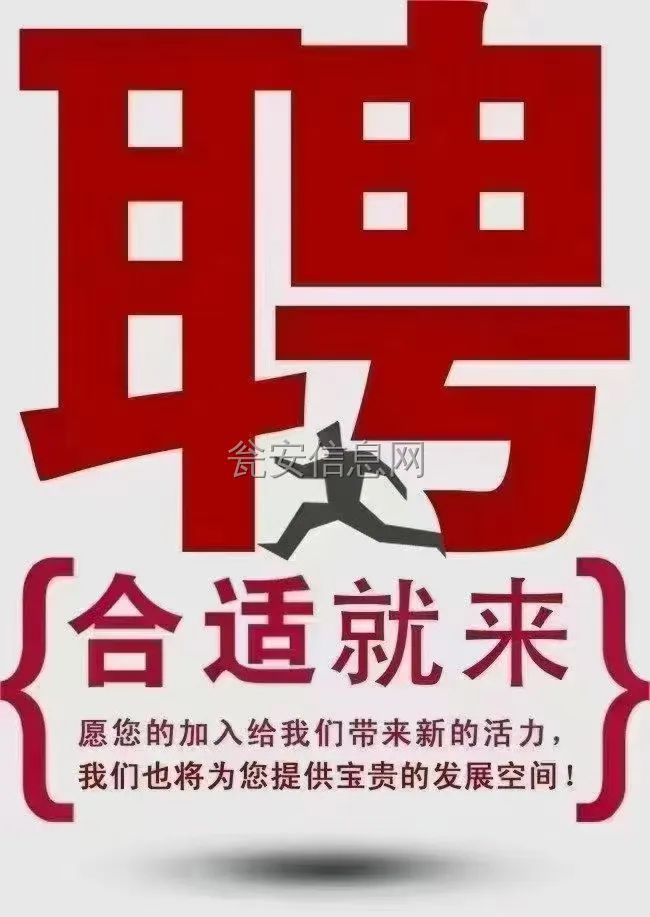 瓮安最新招聘信息，职场与友情的交织温暖故事