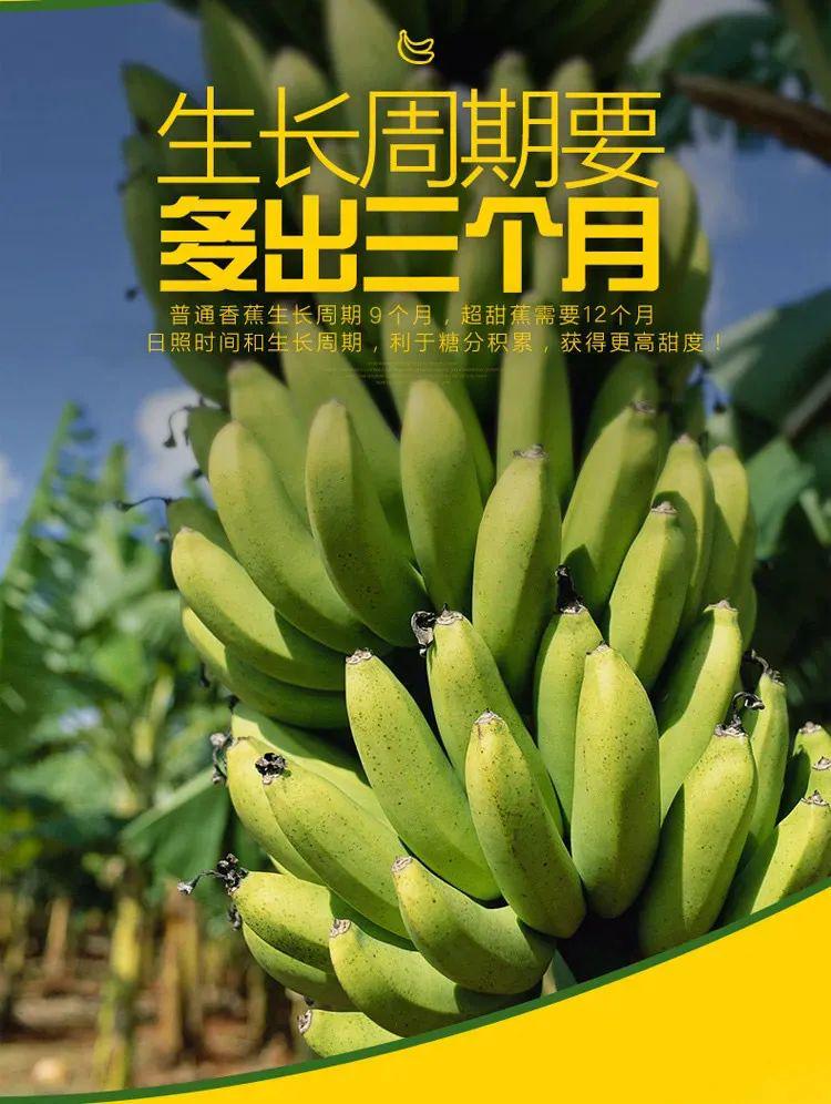 最新精品香蕉，品质、科技与健康的完美融合