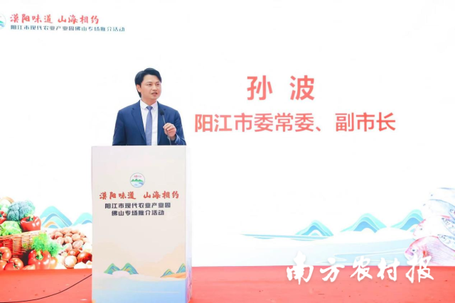 总参孙波最新消息，获取与解读步骤指南