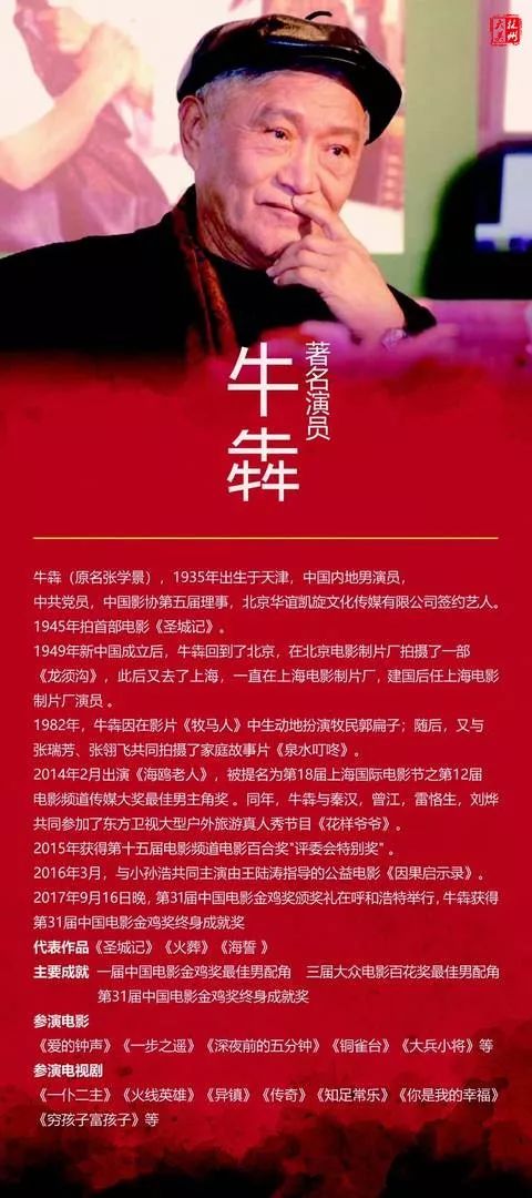林州方言最新电影三月，时代音符与文化印记的融合